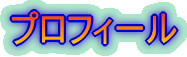 �v���t�B�[��